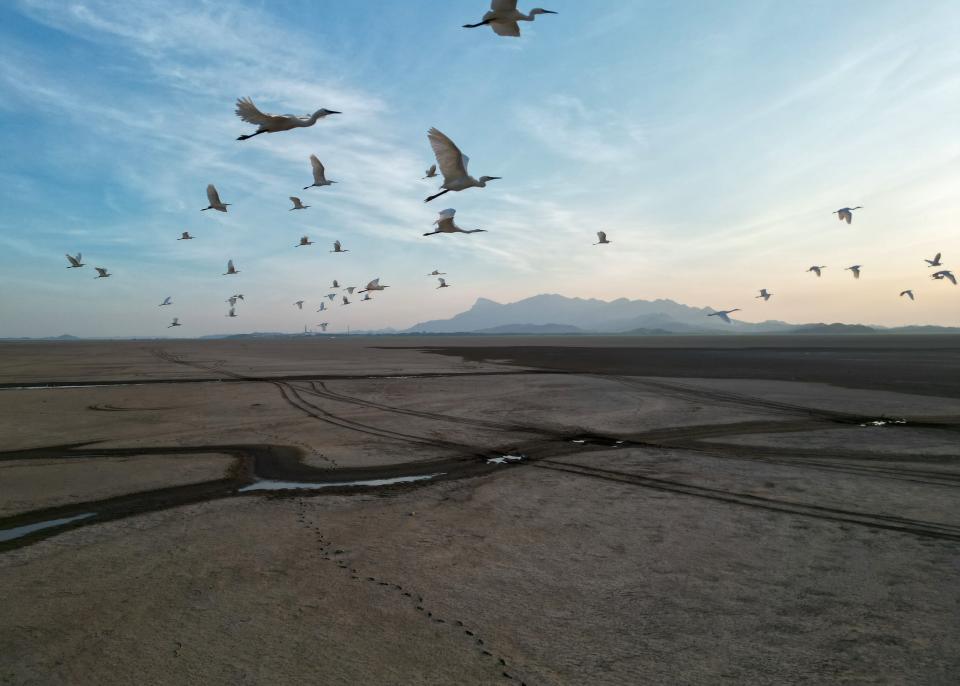 The lakebed of China's largest freshwater lake, Poyang, is exposed due to high temperatures and drought on August 19, 2022 in Jiujiang, Jiangxi Province of China.