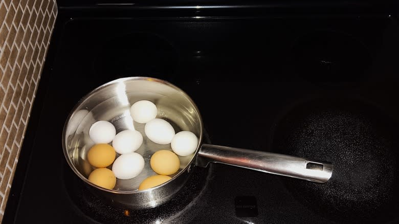 Eggs in pot of water