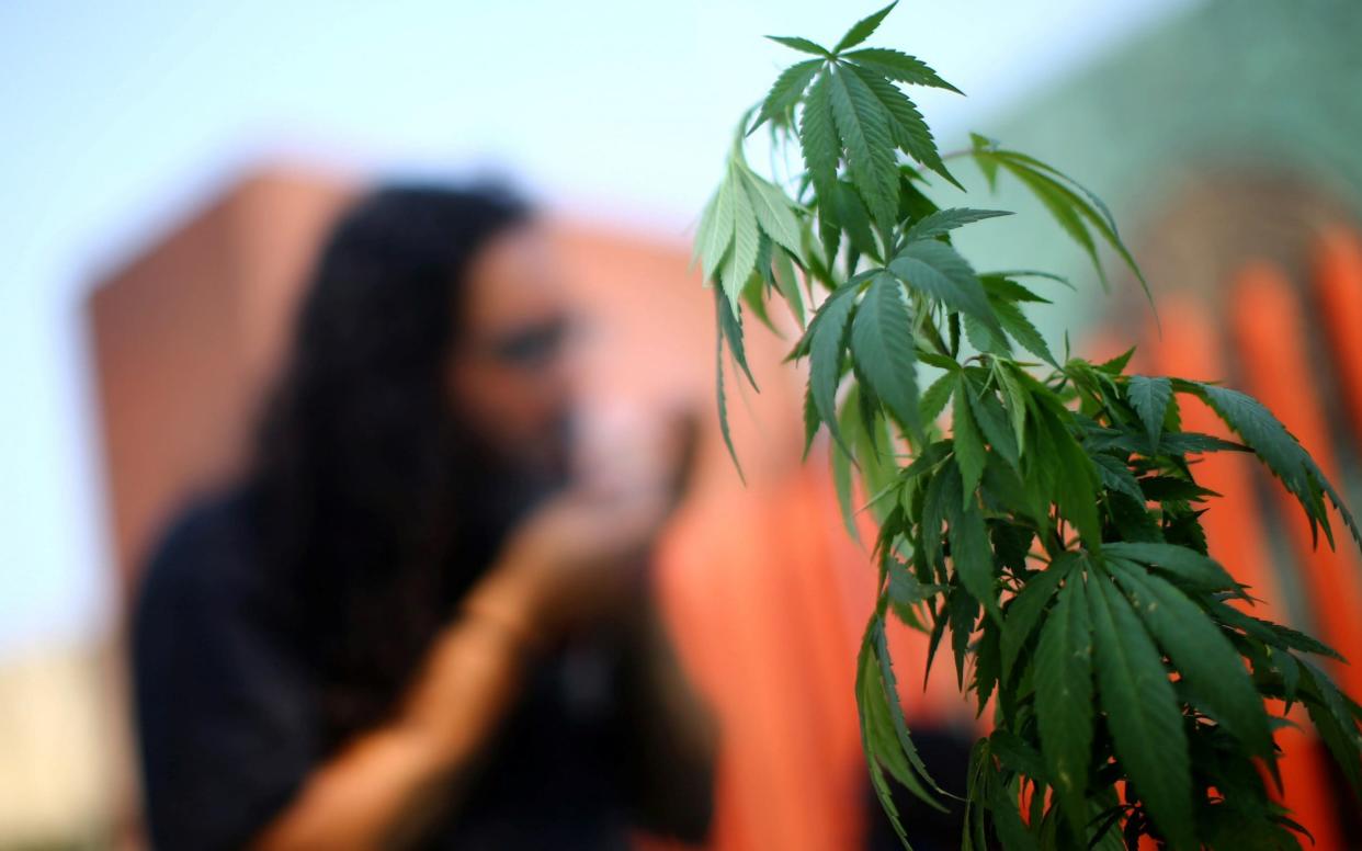 cannabis -  EDGARD GARRIDO/REUTERS