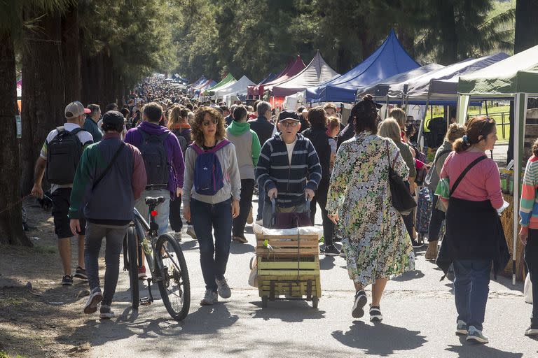 Feria de agronomía; sociedad; artesanos;