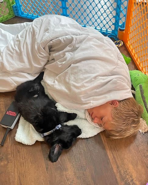 PHOTO:  Adam loves to spend time with Weller, who prefers his new human more than his 'Stranger Things' dog toy. (Courtesy of Sarah Grimpo)