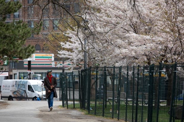 Torontonians enjoy cherry blossoms in Bellwoods Park on Earth Day, Apr. 22, 2021.