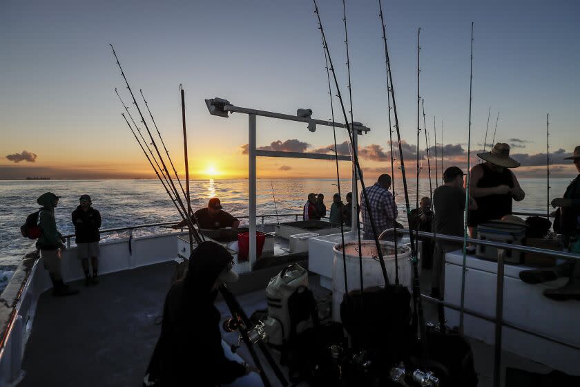 Long Beach, CA, Monday, September 19, 2022 - The Enterprise fishing boat ferries fishermen to warming waters near Catalina Island in search of rare schools of Dorado. (Robert Gauthier/Los Angeles Times)