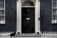 Palmerston, the Foreign Office cat, stands outside 10 Downing Street in London, Britain, May 4, 2017. REUTERS/Toby Melville