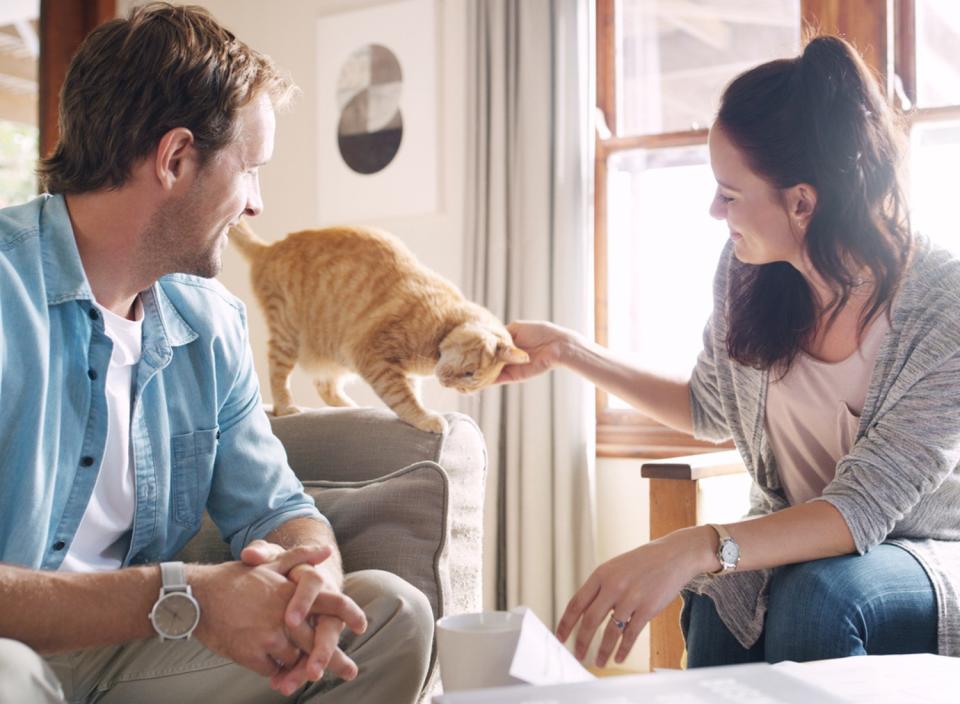 For the dedicated cat lover, check out these nifty cat products from Amazon. (Source: iStock)