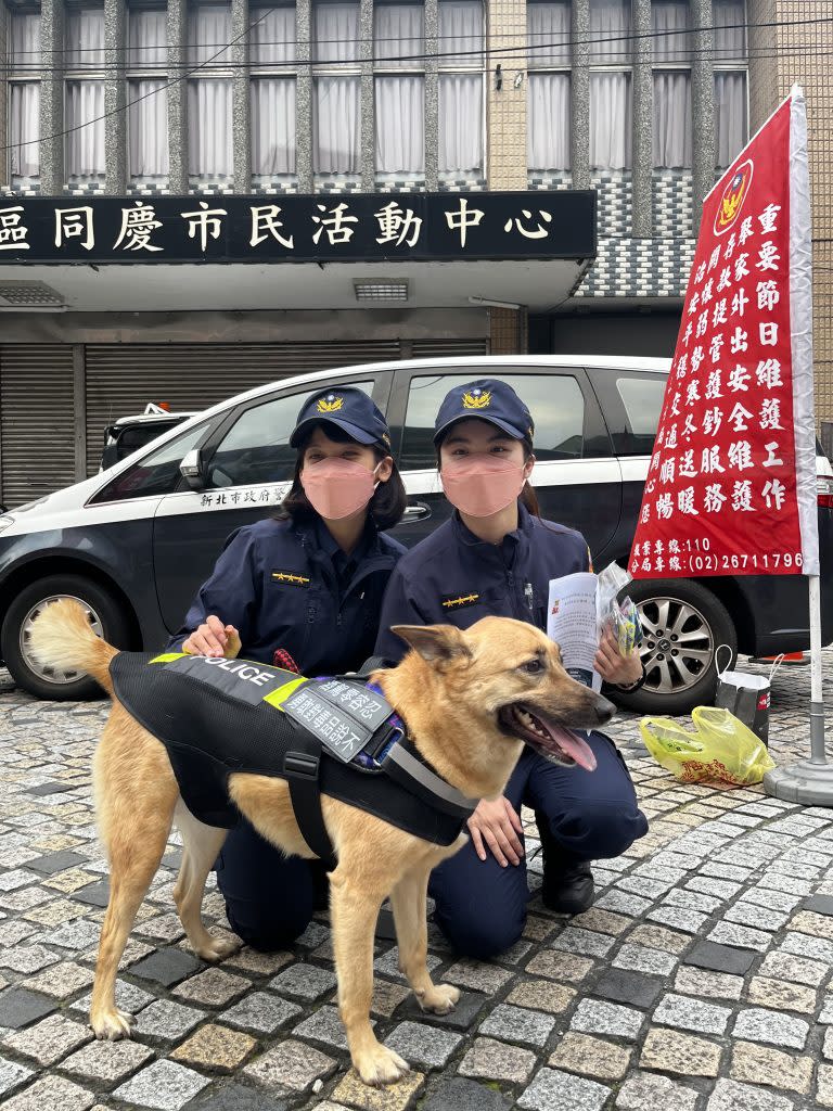 (三峽警分局提供)