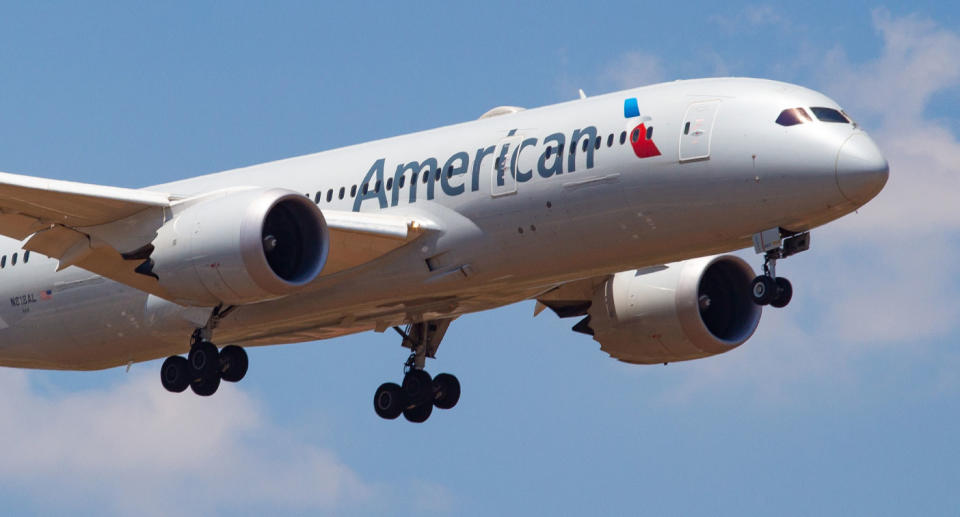 Pictured is a stock image of an American Airlines plane. The fight broke out on-board a flight that was about to take off from Miami to Los Angeles.