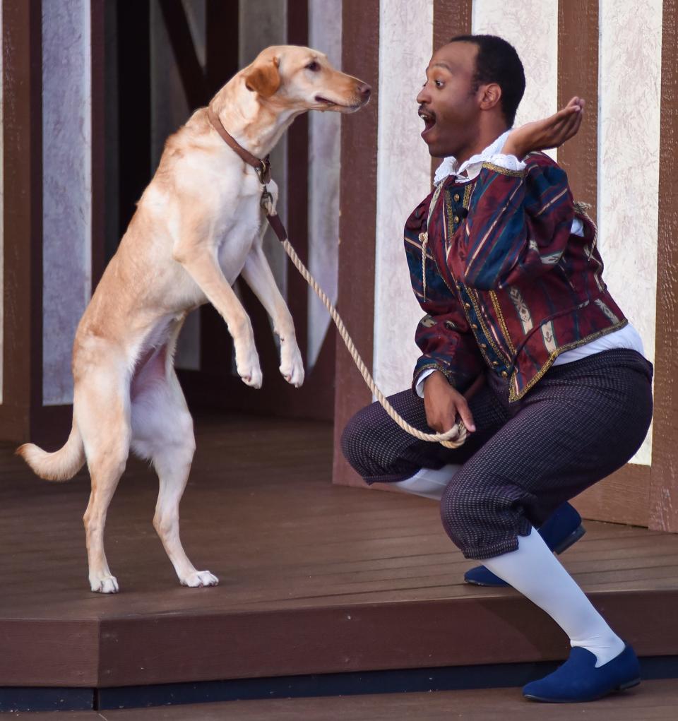 Maurice Quintel Simmons, right, who plays Robin Nol, shares the stage with Hazel, who plays Spot the dog in Oklahoma Shakespeare in the Park's production of "Shakespeare in Love."
