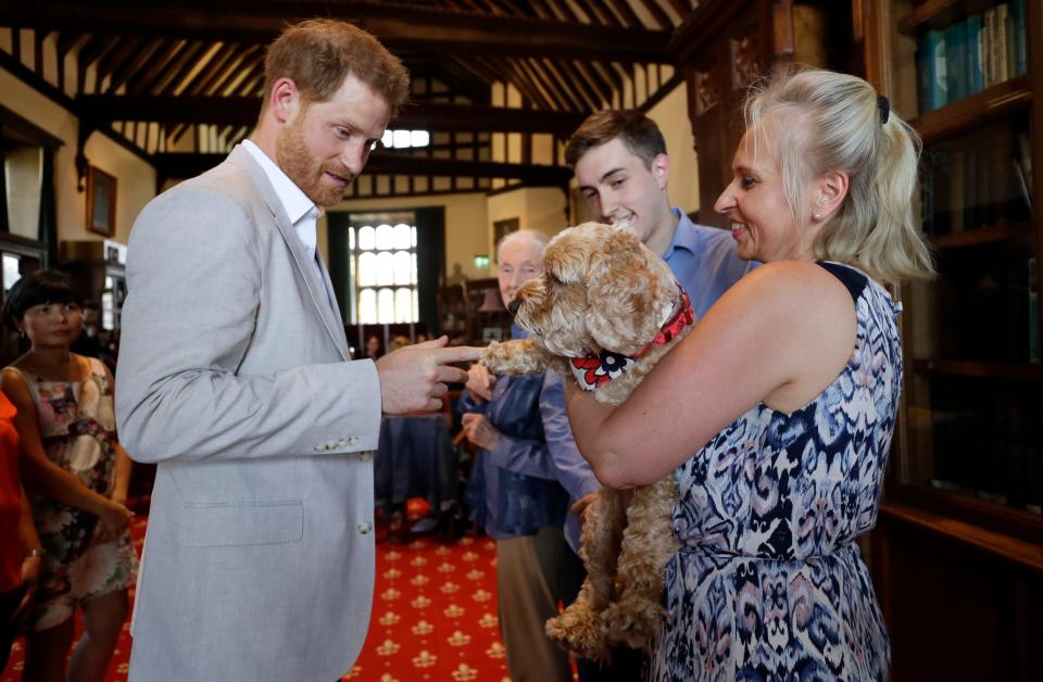 Pooches love Prince Harry, as shown when he met Bella the cockapoo with Annegret Finlay and Karsten Finlay, at Dr Jane Goodall's Roots & Shoots global leadership meeting at St. George's House, Windsor Castle, July 23, 2019.