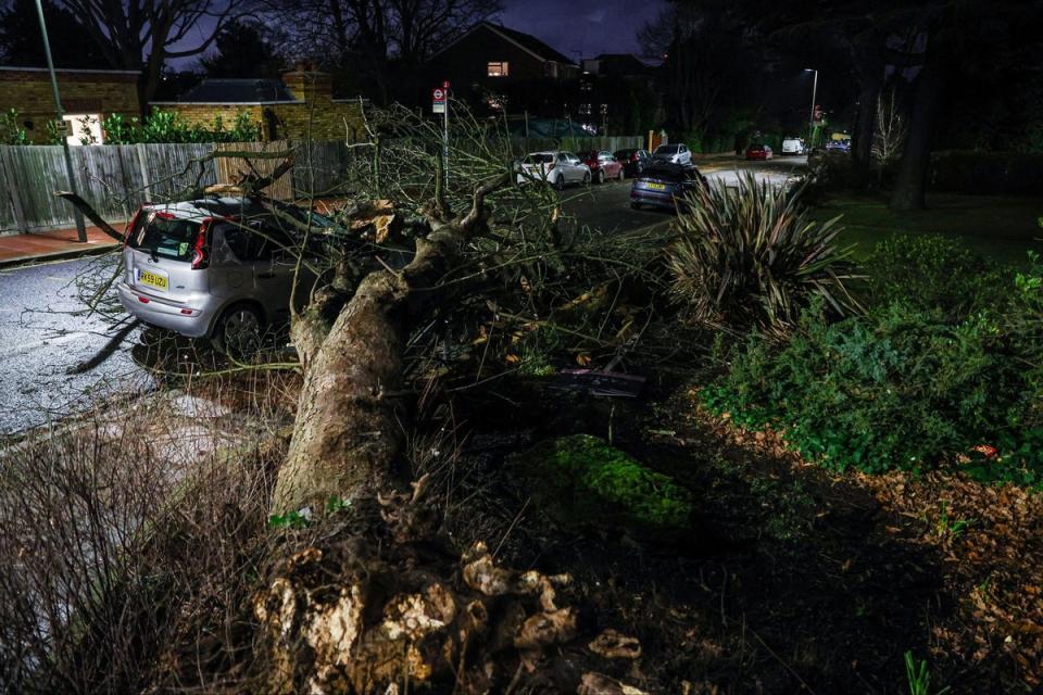 A tree blown over by the wind and landed on a car on Beckenham Grove, Bromley (PA)