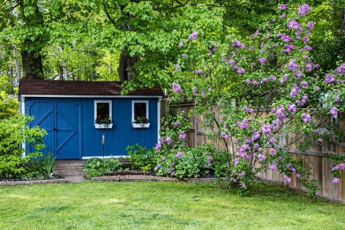 WFH space or not, a refurbished backyard shed is a welcome escape.