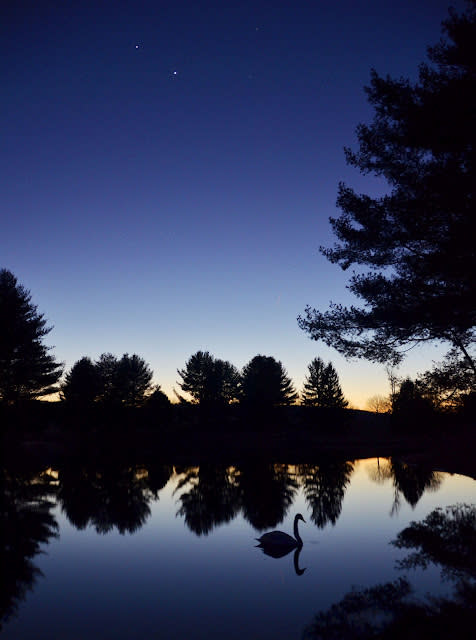 Different planets may appear together in the morning or evening sky, depending on their location relative to Earth and the sun. Jim Gemmel of Warrenton, Virginia, took this picture of Venus and Jupiter on Marc