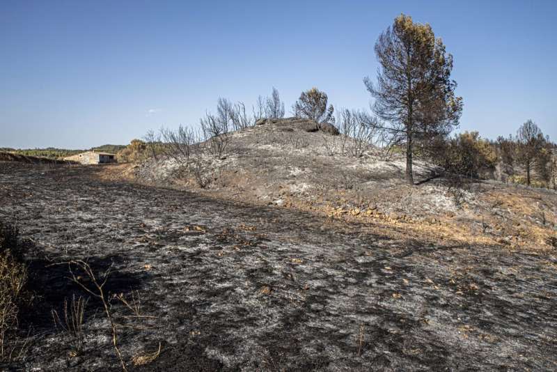 2019年6月，在「地獄熱浪」侵襲下，西班牙境內爆發多起野火災情。（AP）