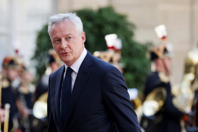 Le ministre de l'Economie et des Finances, Bruno Le Maire, à l'Elysée, le 8 juin 2024 (Ludovic MARIN)