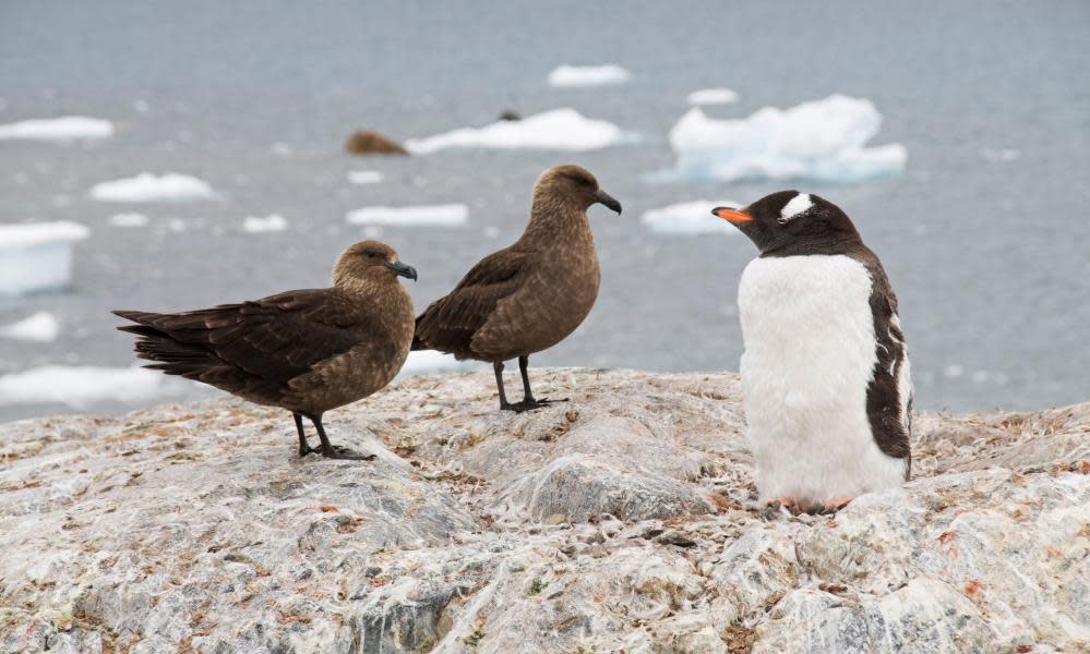 <span>Photograph: robertharding/Alamy</span>