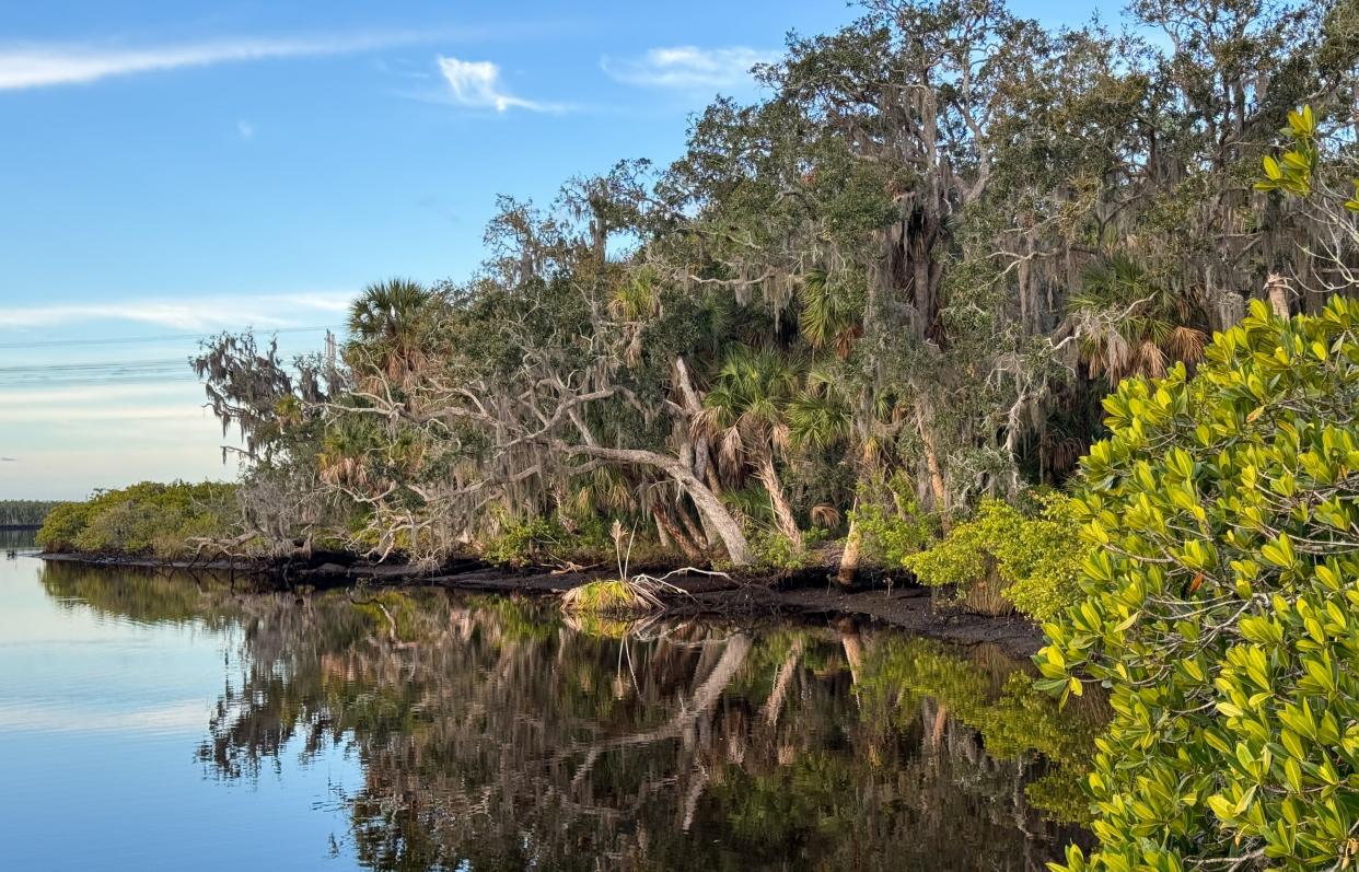 Crooked River Ranch in Parrish was purchased by Manatee County on Feb. 12 and marks the first acquisition under the 2020 Conservation and Parks Projects Referendum Fund.