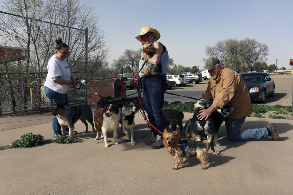 Maria Elena Valdez, left, a volunteer at a fire evacuation shelter in northeast New Mexico, helps Maggie Mulligan, center, and Brad Gombas walk and water nine of their dogs outside the shelter Friday, April 22, 2022, in Las Vegas, N.M. Mulligan and Gombas, of rural Ledoux fled their ranch but had to leave their horses behind and they're not sure when the can back. Mulligan, a dog breeder, had 5 puppies in the back of her SUV. (AP Photo/Cedar Attanasio)