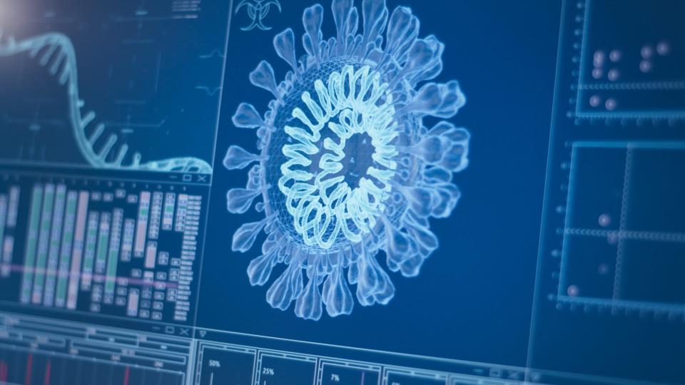 Ein Coronavirus-Modell auf einem Computerbildschirm.