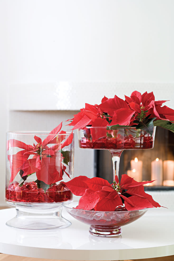 Centerpiece Poinsettias