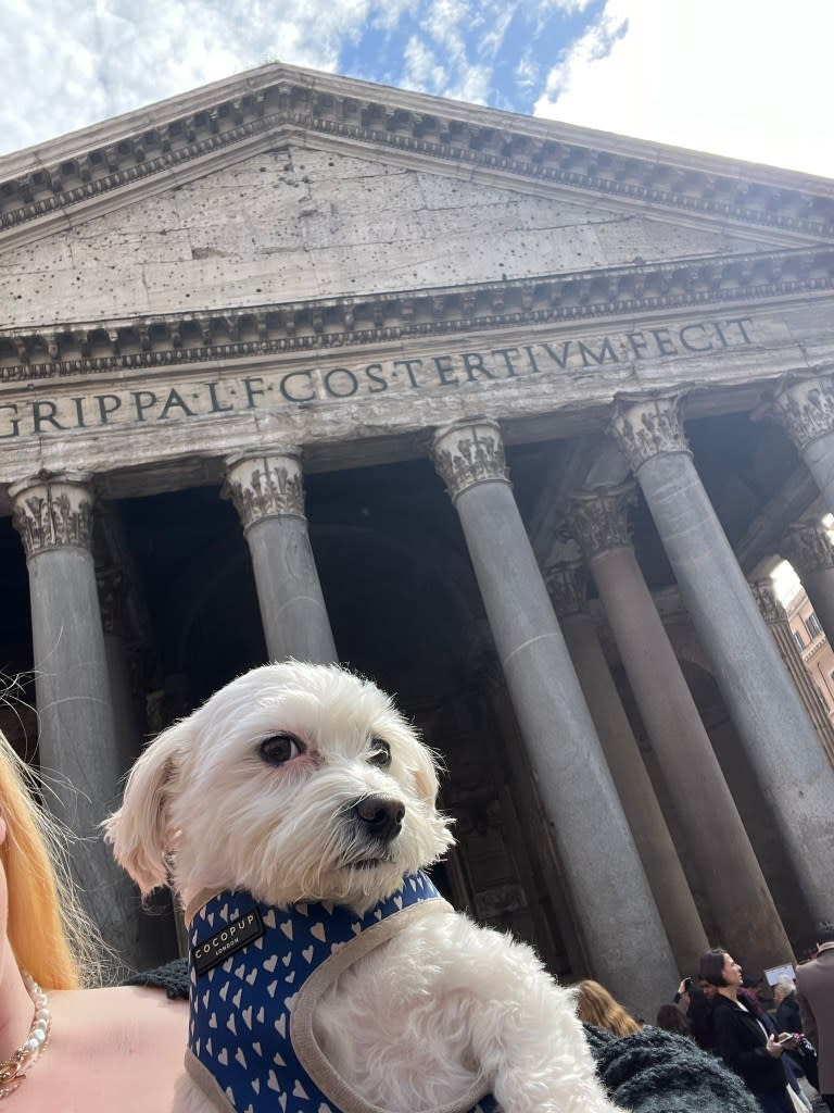 The pair landed in Rome and continued to Bari and Civitavecchia as Catherine practiced Italian around the country. @catherinesophiajesus / SWNS
