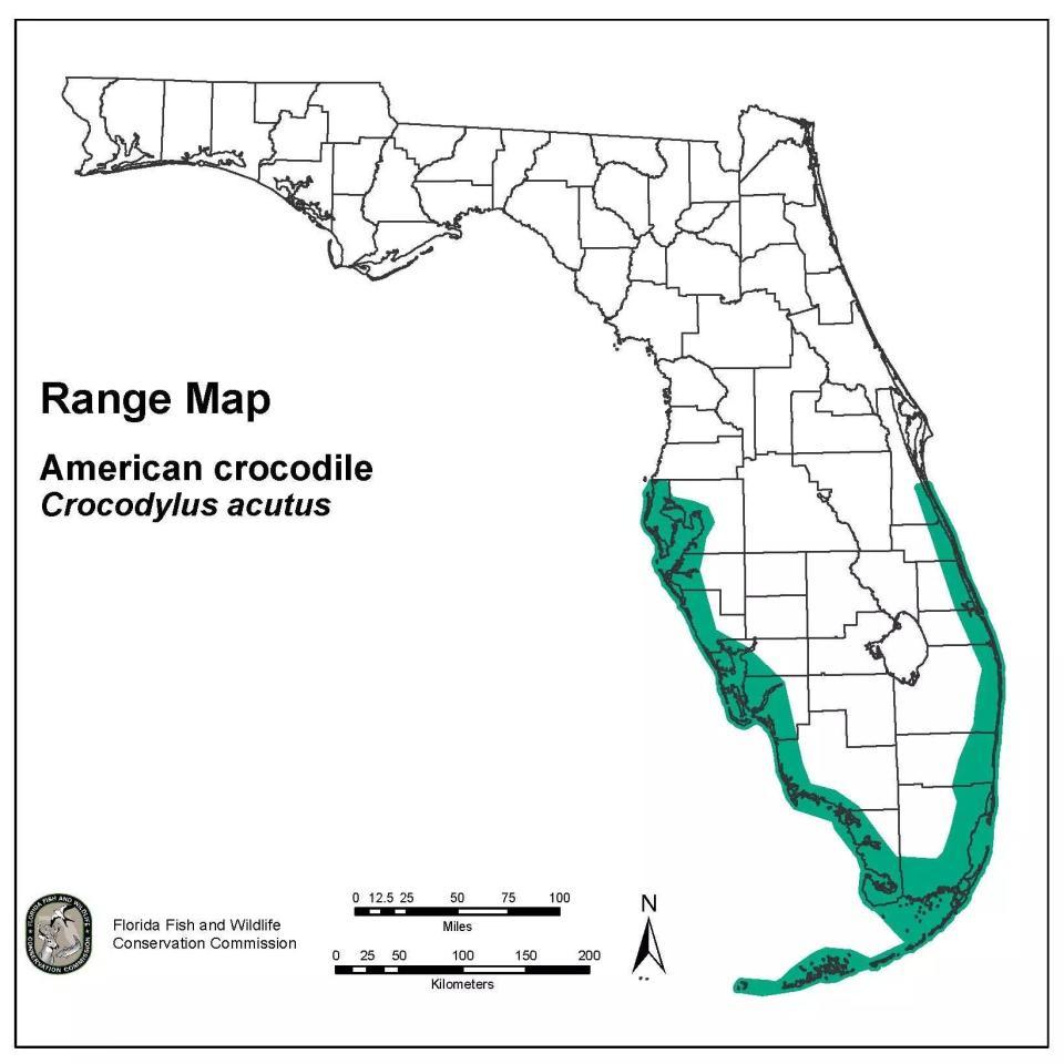 Range of crocodiles in Florida.