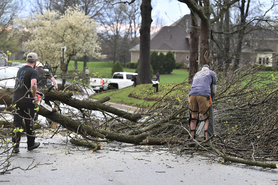 Workers cut up downed trees lying across the road following severe storms that passed through Prospect, Ky., Tuesday, April 2, 2024. (AP Photo/Timothy D. Easley)