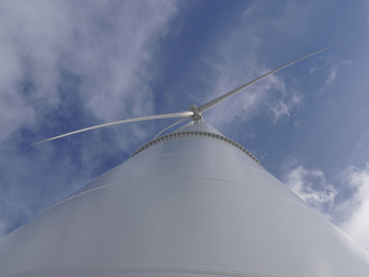 Mersey River Wind wants to erect 33 wind turbines south of Milton, N.S. (Erik White/CBC - image credit)