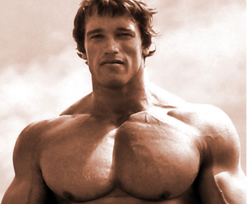 <em>Arnold Schwarzenegger won the title seven times overall (Wikipedia)</em>