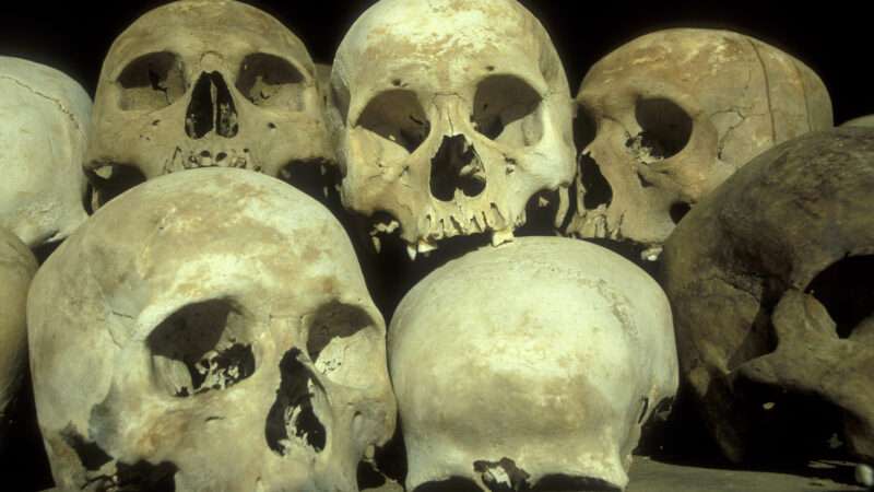 Skulls at the museum of the killing fields of the red Khmer or khmer rouge outside the city of Phnom Penh of Cambodia. Cambodia, Phnom Penh