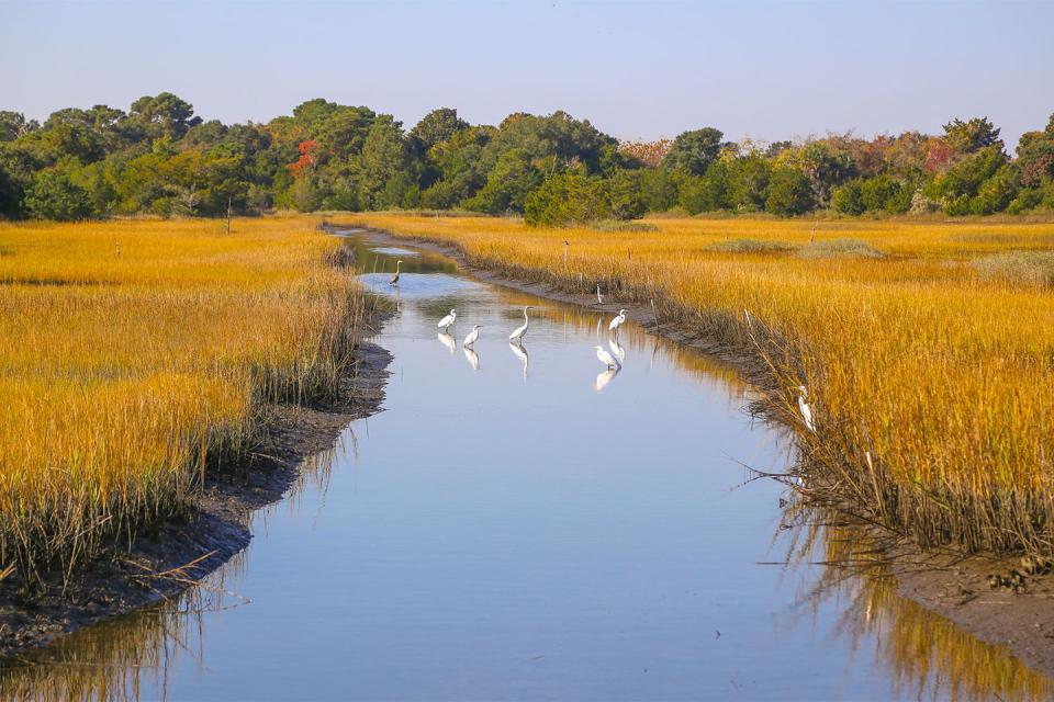 The Most Beautiful Nature Photos From Around the World