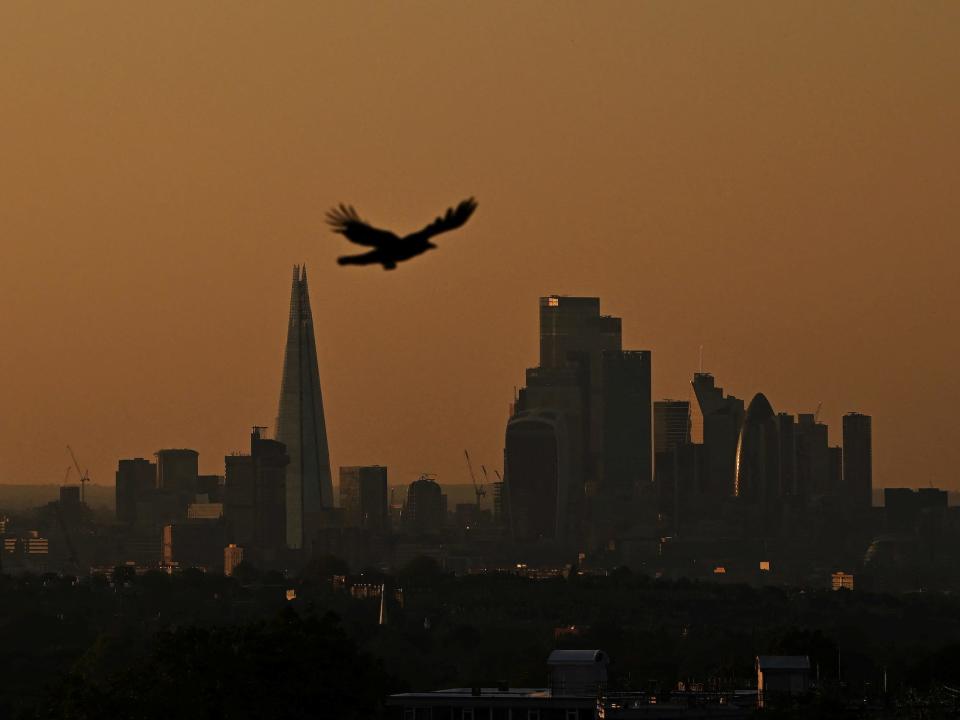 bird flying through dark orange skies above the london skyline