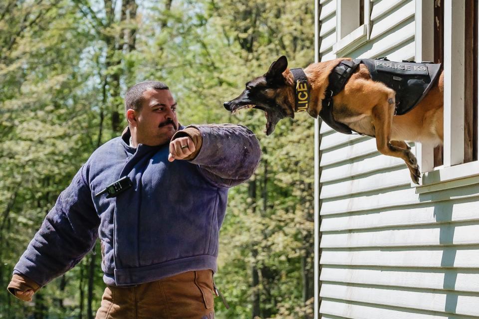 Dover Patrolman Jordan Doughty worked with Argo, from the Salem Police Department, during a training session run and hosted by Canton police officer Chris Heslop, of the Police K-9 Association, in this 2022 file photo. Argo will be retired this fall, according to Doughty.