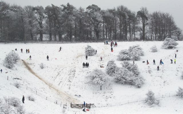 Sledging in Wye National Nature Reserve near Ashford