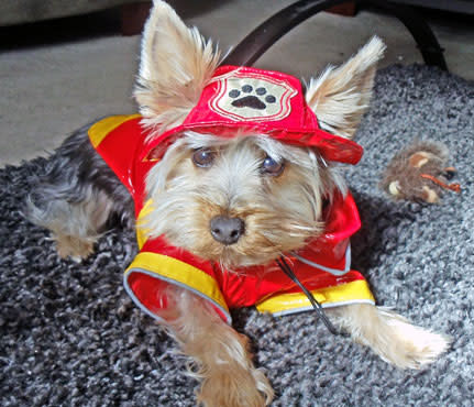 Cuddly Fireman