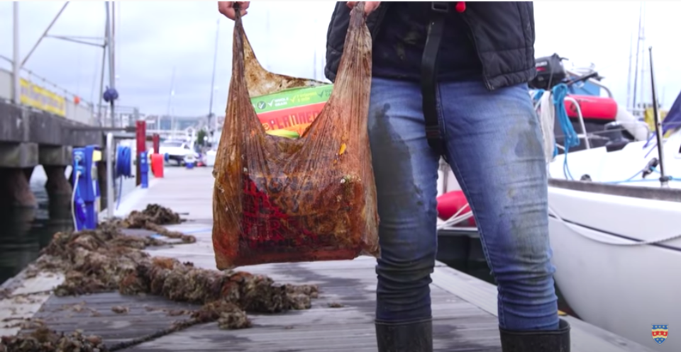 El plástico de las bolsas compostables y biodegradables no se desintegra fácilmente. Foto: Universidad de Plymouth