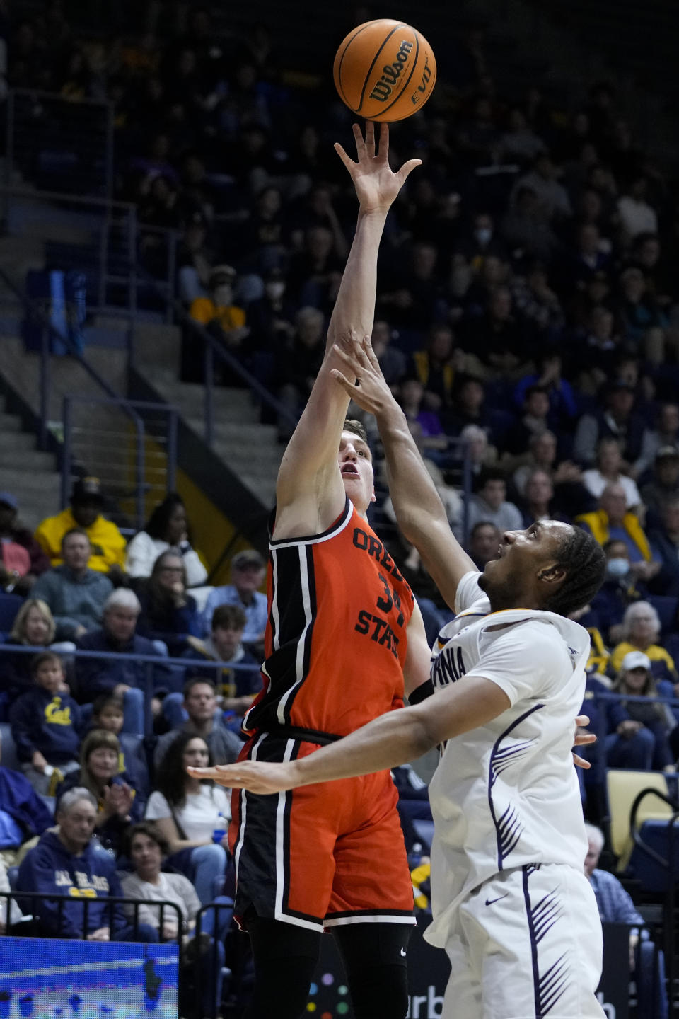 Oregon State forward Tyler Bilodeau shoots over California forward Grant Newell during the second half of an NCAA college basketball game Thursday, Feb. 22, 2024, in Berkeley, Calif. (AP Photo/Godofredo A. Vásquez)