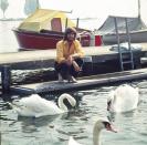 <p>Barry Gibb feeds swans on a boat dock in Great Britain in 1970.</p>