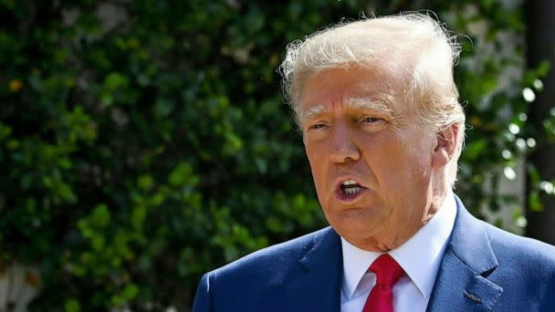 PHOTO: Donald Trump speaks to the media while departing a polling station after voting in the US midterm elections at Morton and Barbara Mandel in Palm Beach, Florida. (Eva Marie Uzcategui/AFP via Getty Images, FILE)