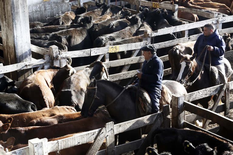 Se hizo la última subasta en el Mercado de Hacienda de Liniers