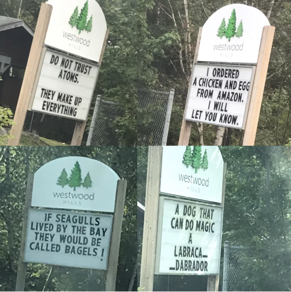 "Dad" store signs like "If seagulls lived by the bay they would be called bagels!" and "Do not trust atoms; they make up everything"