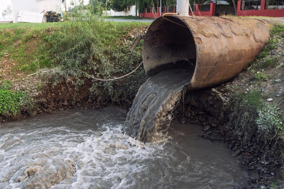 Thames Water is planning to invest £1.6 billion in sewage treatment works over the next two years (Getty Images/iStockphoto)