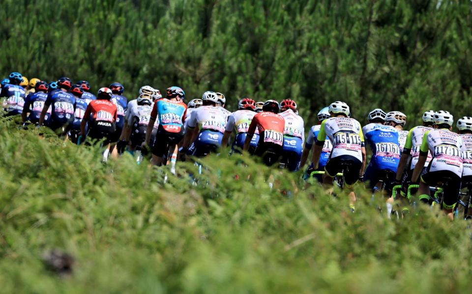 The peloton taking it fairly easy on stage seven finishing in Bordeaux