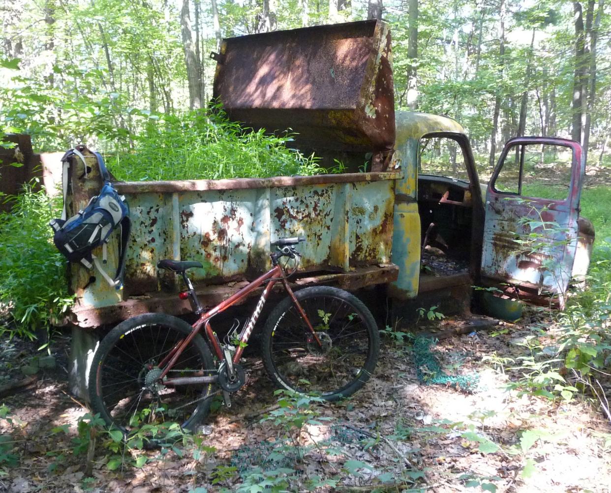 Abandoned Jungle Habitat, West Milford, New Jersey, rusting truck with passenger door opened, plants in it's bed, in a forest, surrounded by trees with sunlight coming through, in summer