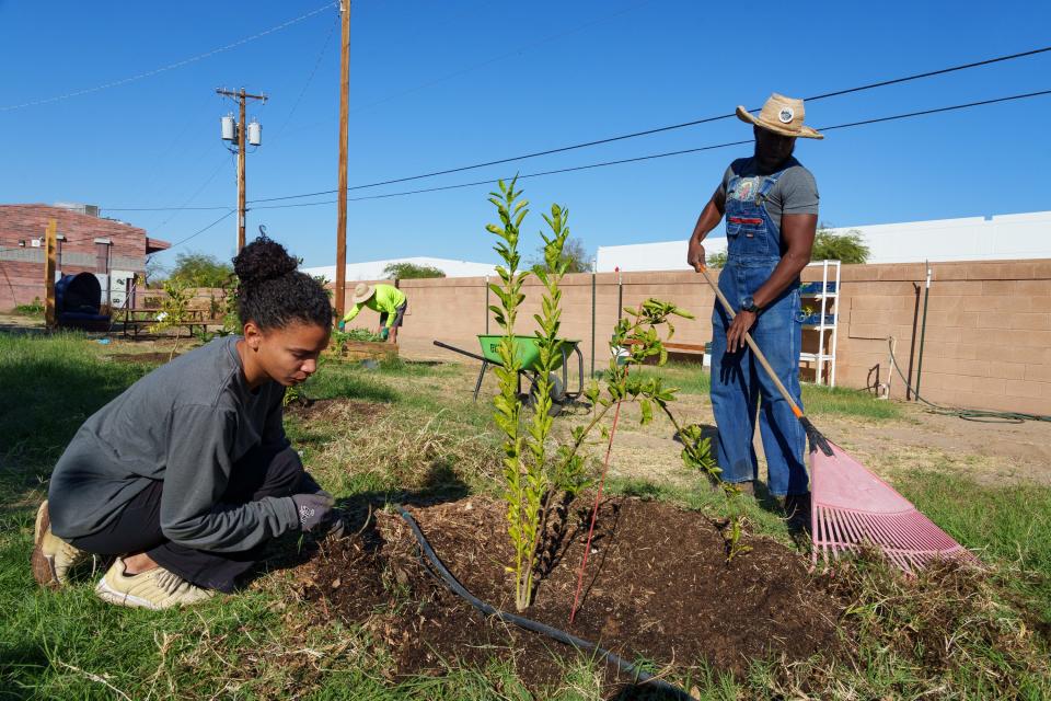 Olivia Smith (left) builds a berm around a tree as Rodney Eugene Smith rakes weeds away in the gardens at Tiger Mountain Foundation community school in Phoenix on Nov. 3, 2023.