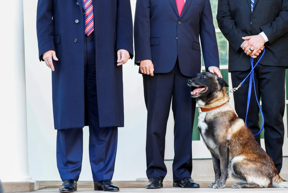 Vice President Mike Pence pets Conan, the U.S. military dog that was part of and was injured in the U.S. raid in Syria that killed ISIS leader Abu Bakr al-Baghdadi last month. The dog was honored at the White House Monday (President Donald Trump is on the left). (Photo: Tom Brenner / Reuters)