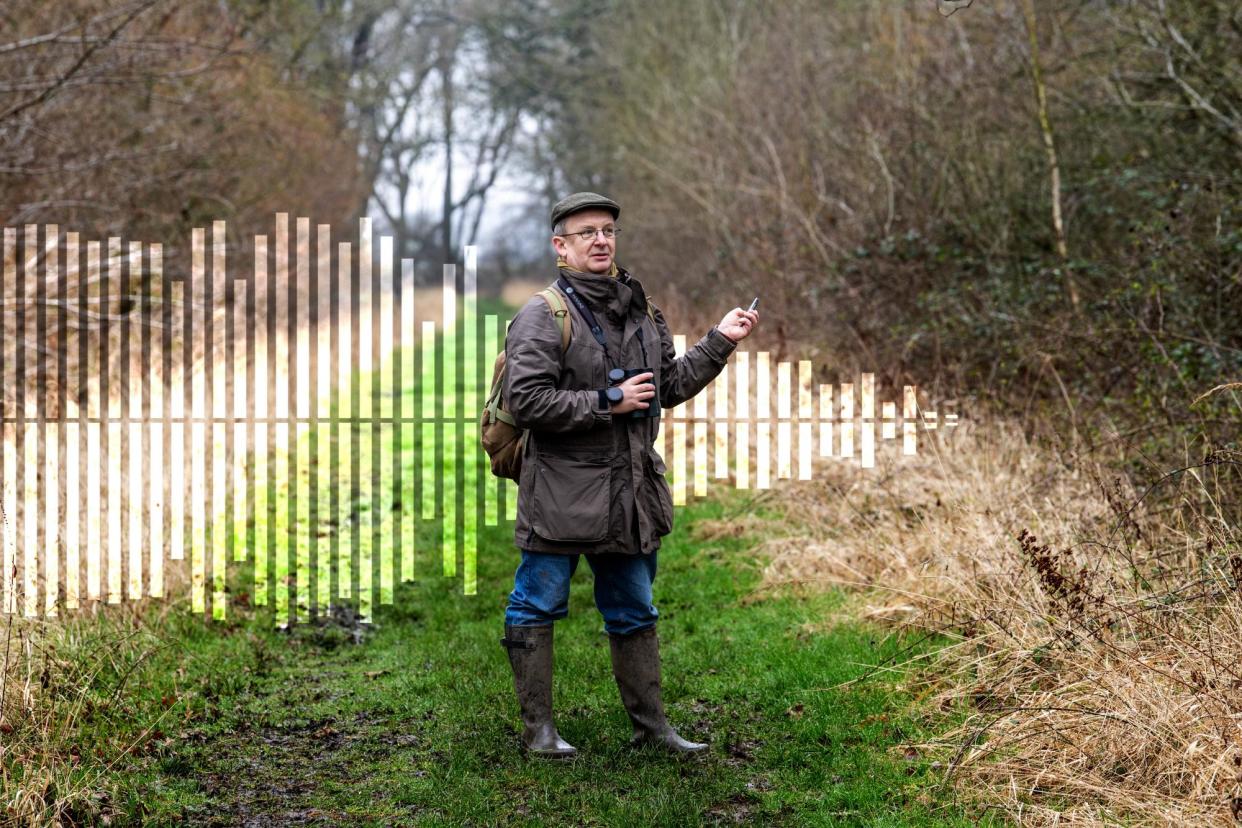 <span>Richard Broughton has been monitoring and recording marsh tits in Monks Wood, Cambridgeshire, for 22 years.</span><span>Illustration: Guardian Design/Jill Mead</span>