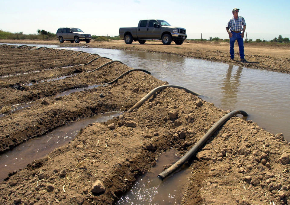 FILE - In this Sept. 3, 2002 file photo, farmer John Hawk looks over his land as his seed onion fields are watered in Holtville, Calif. Work on a multistate plan to address drought on the Colorado River in the U.S. West won't be done to meet a Monday, March 4, 2019 federal deadline. A California irrigation district with the highest-priority rights to the river water says it won't approve the plan without securing money to restore the state's largest lake. The Imperial Irrigation District wants $200 million for the Salton Sea, a massive, briny lake in the desert southeast of Los Angeles.(AP Photo/Reed Saxon, File)