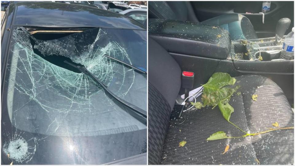 Laura Sotelo’s husband survived being impaled by a branch when a thunderstorm sent a tree crashing onto their car as they drove through a storm.
