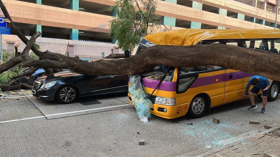 車Cam直擊｜何文田巴富街有大樹倒塌 壓毀4車2人受傷 (有片)