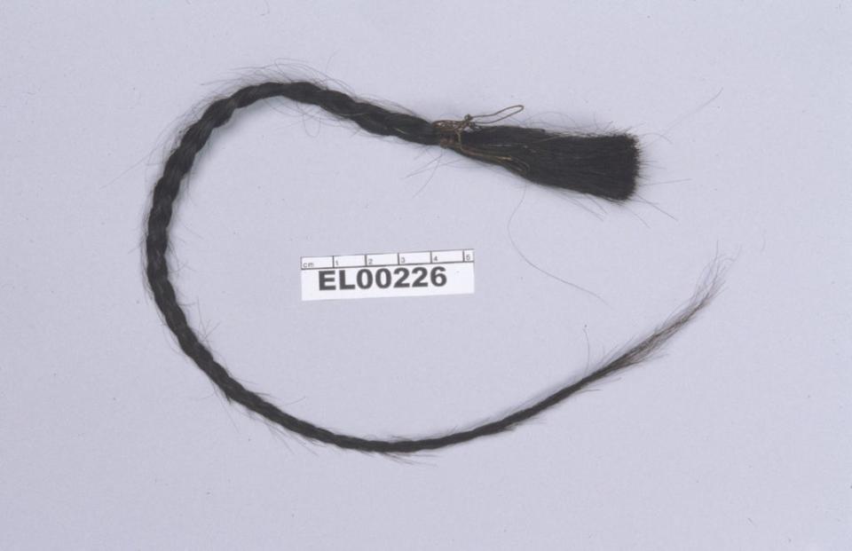 Hair from Lakota Sioux leader Sitting Bull’s scalp, from which DNA was extracted for analysis (Eske Willerslev/University of Cambridge/AFP via Getty Images)